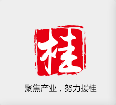 聚焦產(chǎn)業(yè)，努力援桂